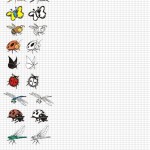 Карта для рисования насекомых