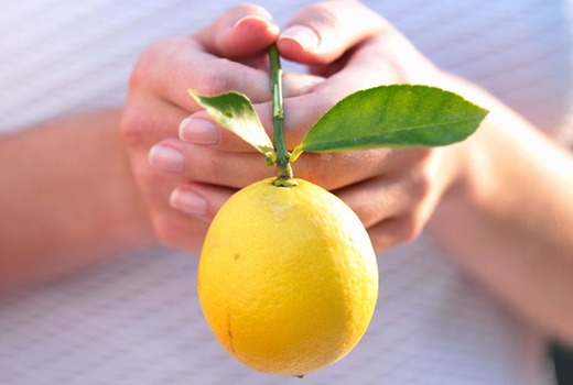 Красивый лимон в ухоженных руках